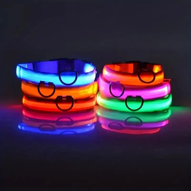 LED Glow-in-the-Dark Dog Leash & Collar