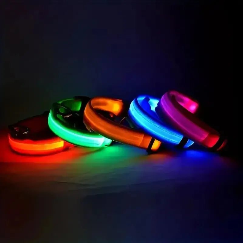 LED Glow-in-the-Dark Dog Leash & Collar
